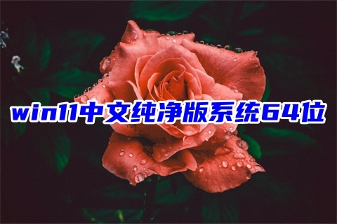 win11预览版纯净下载 win11中文纯版系统64位下载windows11免激活系统镜像文件下载