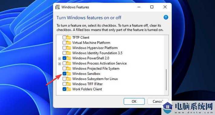 win11家庭版 沙盒
