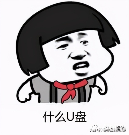 大白菜u盘装系统怎么选