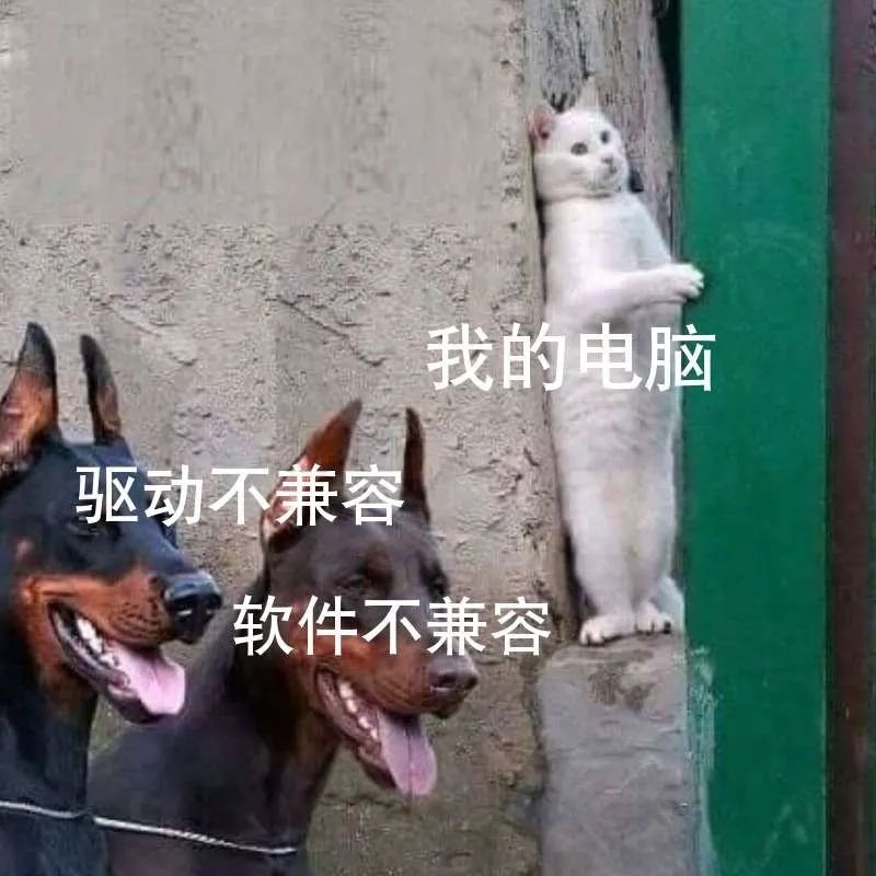 u盘装系统进pe蓝屏6