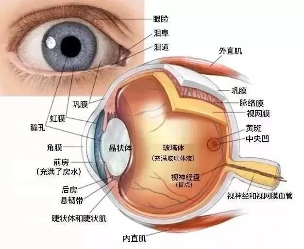 win10专业版保护眼睛 win10专业版具备“屏幕亮度自动调节”的功能