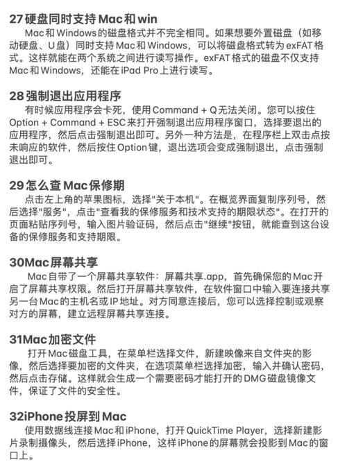 mac系统用bt下载