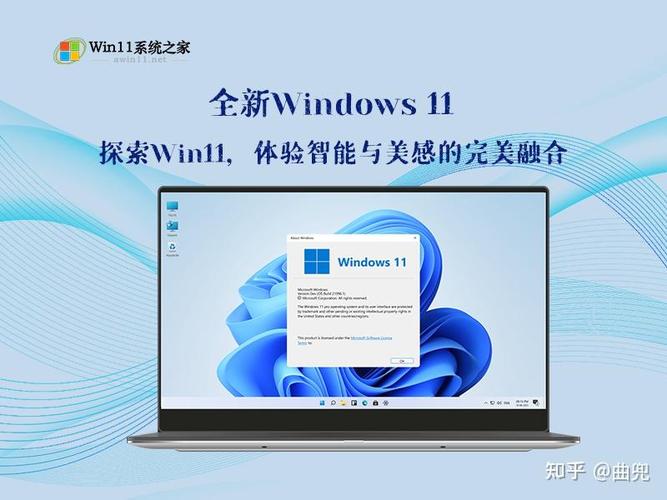 学设计需要win11专业版