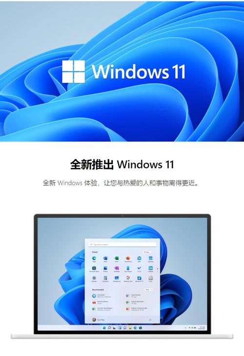 win11专业版怎么激活