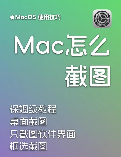 mac系统下载太慢了