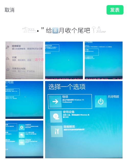 win11系统去哪下载