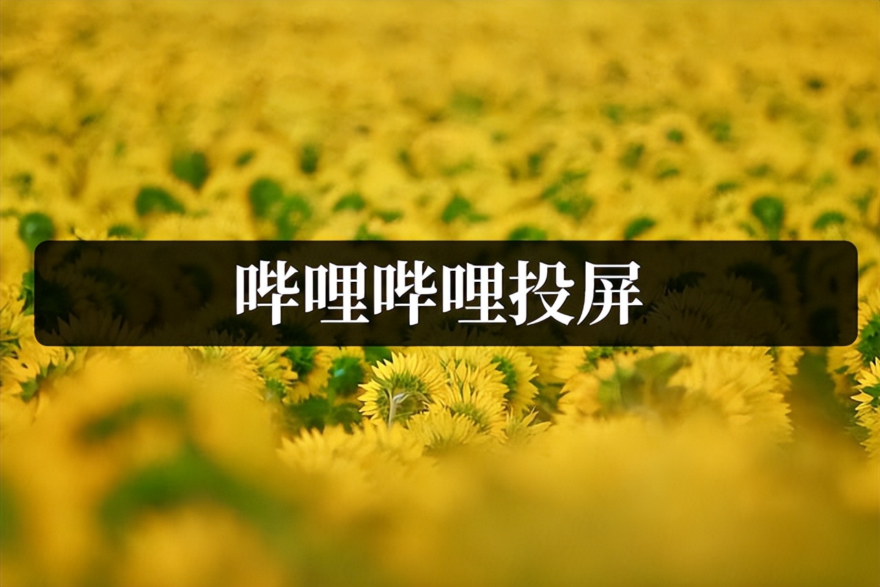 win11投屏教程 哔哩哔哩投屏教程：2种方法轻松实现不同场景下的投屏操作