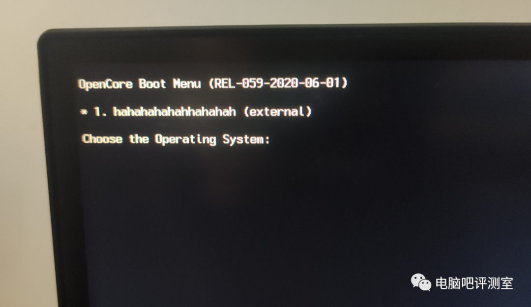 u盘装苹果系统 guid